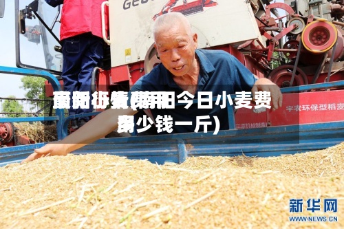 南阳小麦费用最新行情(南阳今日小麦费用多少钱一斤)