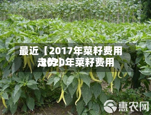 最近【2017年菜籽费用,2020年菜籽费用走势】-第2张图片