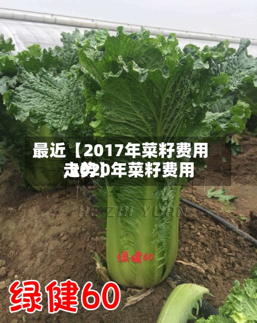 最近【2017年菜籽费用,2020年菜籽费用走势】-第3张图片