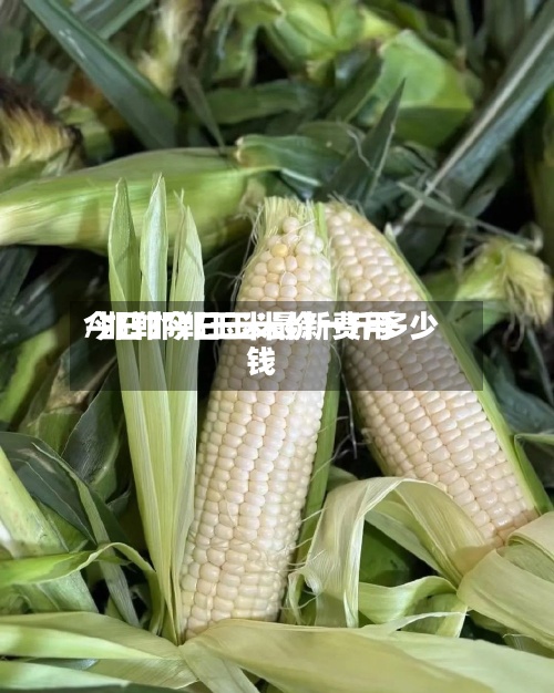 今日邯郸玉米最新费用/邯郸今日玉米价一斤多少钱-第2张图片