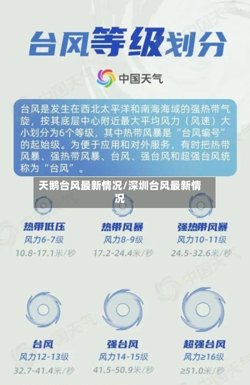 天鹅台风最新情况/深圳台风最新情况-第3张图片