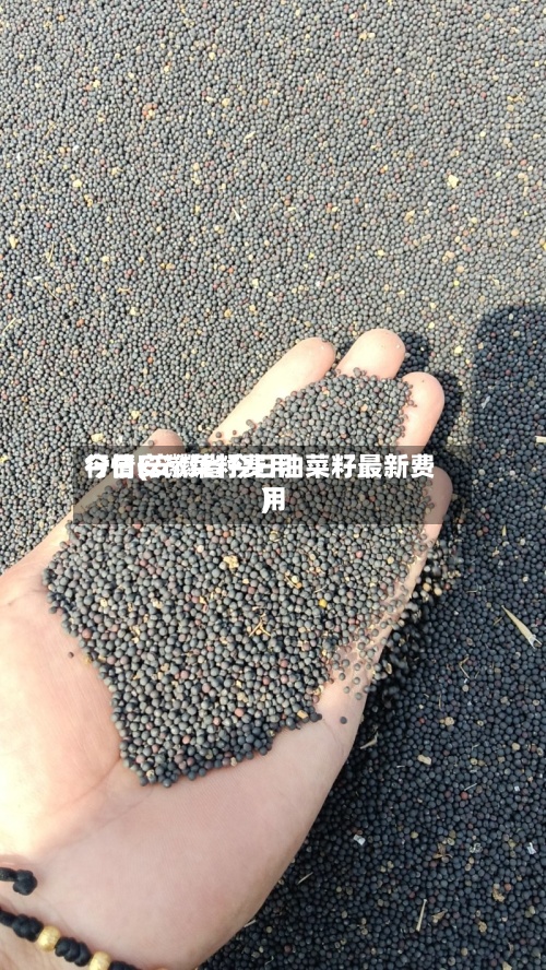 今日安徽菜籽费用行情(安徽省今日油菜籽最新费用)-第2张图片