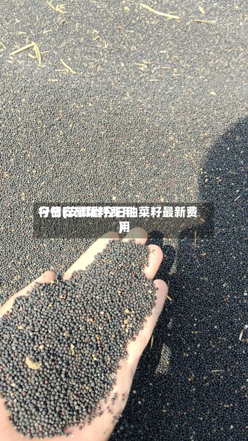 今日安徽菜籽费用行情(安徽省今日油菜籽最新费用)