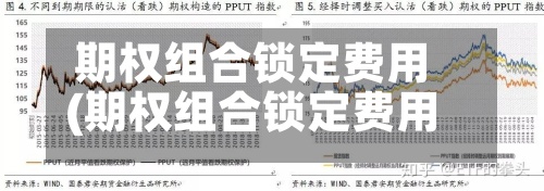 期权组合锁定费用(期权组合锁定费用怎么算)