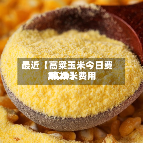 最近【高粱玉米今日费用,高粱米费用2020】