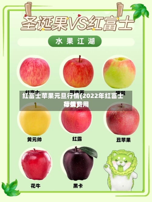 红富士苹果元旦行情(2022年红富士苹果费用
行情)-第2张图片