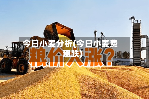 今日小麦分析(今日小麦费用涨跌)-第2张图片