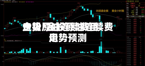 金投原油连续费用走势/金投原油连续费用走势预测