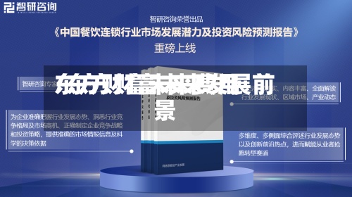 东方财富未来费用/东方财富未来发展前景-第2张图片