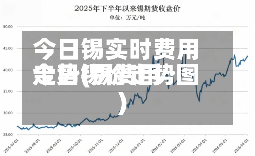 今日锡实时费用走势(锡费用今日锡价走势图)