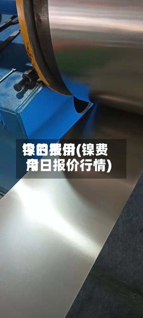 镍的费用今日报价(镍费用今日报价行情)