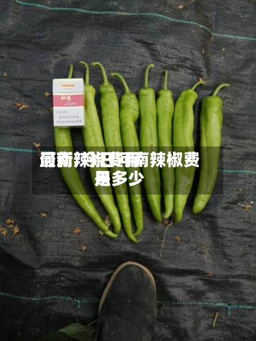河南辣椒费用最新/今日河南辣椒费用是多少-第2张图片