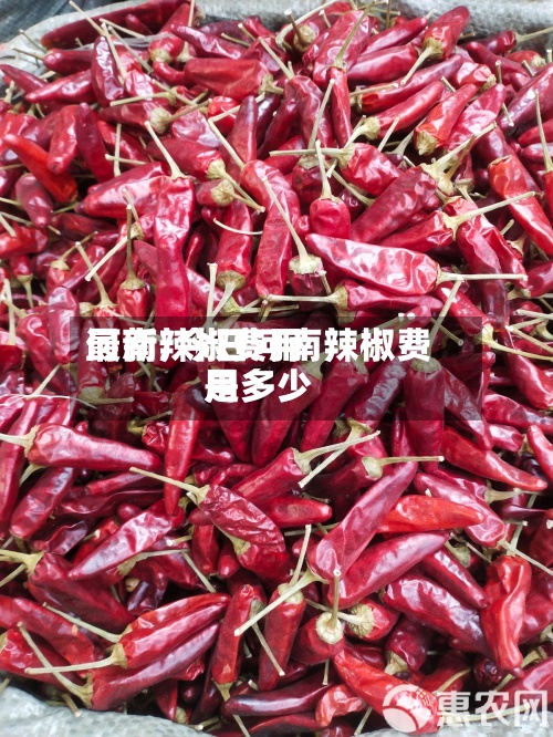 河南辣椒费用最新/今日河南辣椒费用是多少-第3张图片