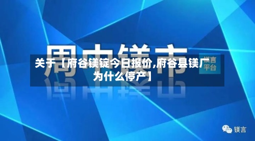 关于【府谷镁锭今日报价,府谷县镁厂为什么停产】-第3张图片