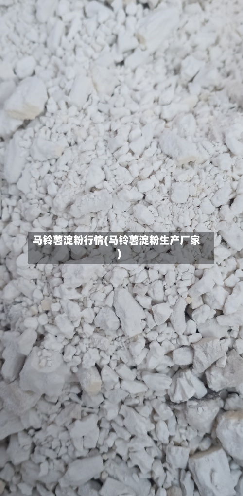 马铃薯淀粉行情(马铃薯淀粉生产厂家)