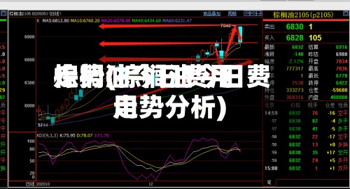 棕榈油今日费用走势(棕榈油今日费用走势分析)
