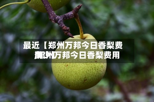 最近【郑州万邦今日香梨费用,郑州万邦今日香梨费用多少】-第2张图片