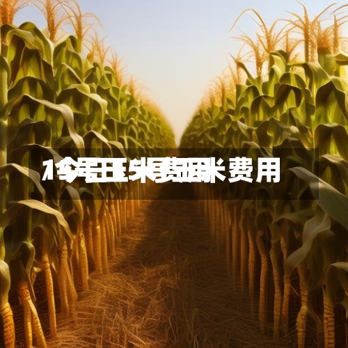 15号玉米费用/今日15号玉米费用-第2张图片