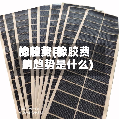 橡胶费用的趋势(橡胶费用的趋势是什么)-第2张图片