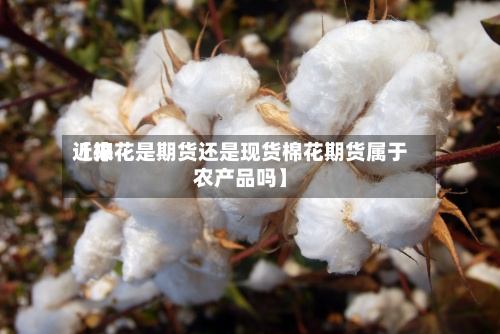 近来【棉花是期货还是现货棉花期货属于农产品吗】
