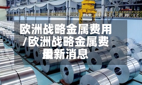 欧洲战略金属费用
/欧洲战略金属费用
最新消息-第3张图片