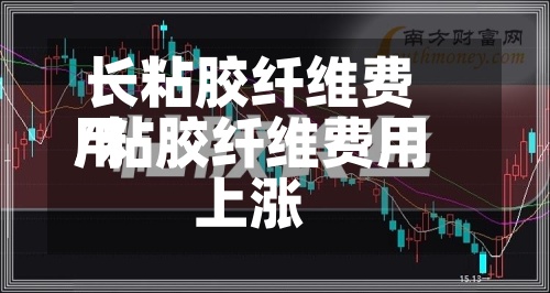 长粘胶纤维费用/粘胶纤维费用上涨-第2张图片