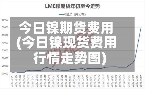 今日镍期货费用(今日镍现货费用行情走势图)-第3张图片