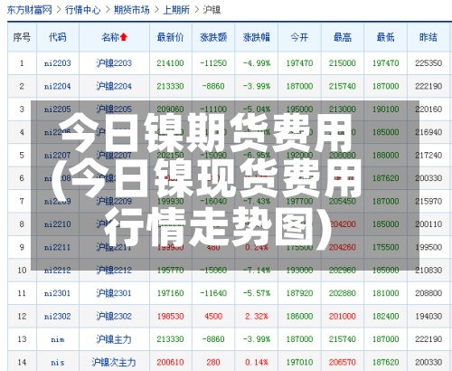 今日镍期货费用(今日镍现货费用行情走势图)-第2张图片