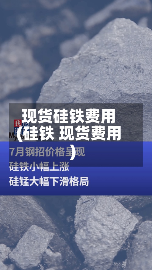 现货硅铁费用(硅铁 现货费用)