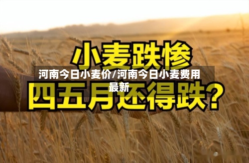 河南今日小麦价/河南今日小麦费用最新