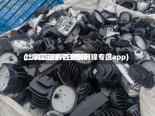 上海富宝钼今日费用(上海富宝有色金属网镍专区app)