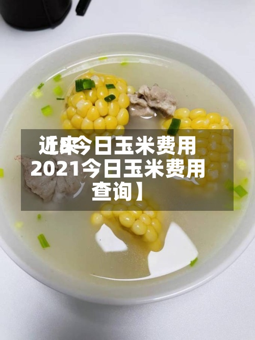 近来【8今日玉米费用2021今日玉米费用查询】-第3张图片