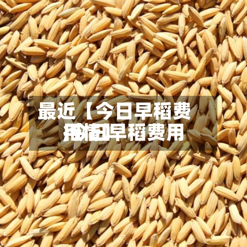 最近【今日早稻费用,今日早稻费用行情】-第2张图片
