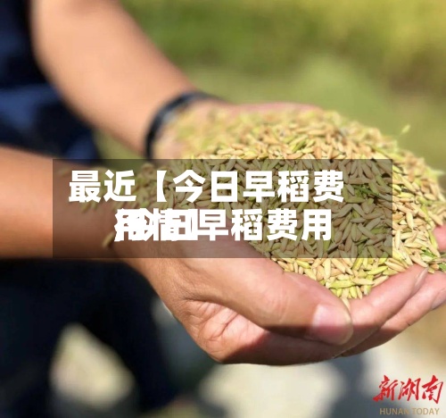 最近【今日早稻费用,今日早稻费用行情】-第3张图片
