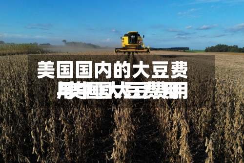 美国国内的大豆费用
/美国大豆费用
与中国大豆费用
-第2张图片