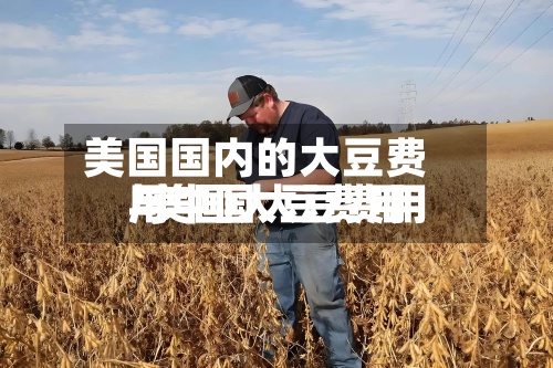 美国国内的大豆费用/美国大豆费用与中国大豆费用