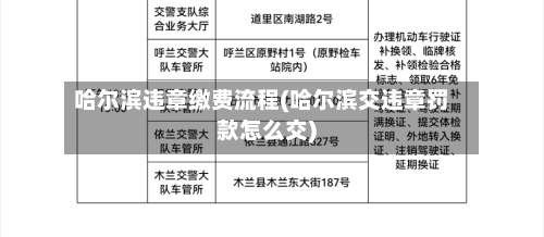 哈尔滨违章缴费流程(哈尔滨交违章罚款怎么交)