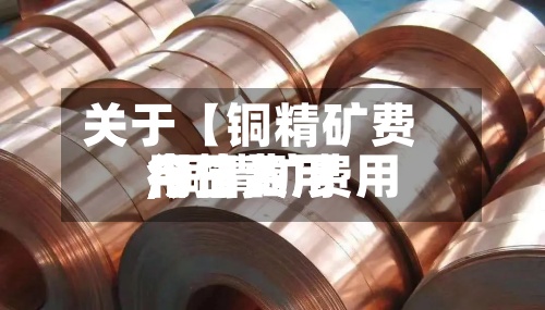 关于【铜精矿费用今日费用,铜精矿费用今日费用行情】
