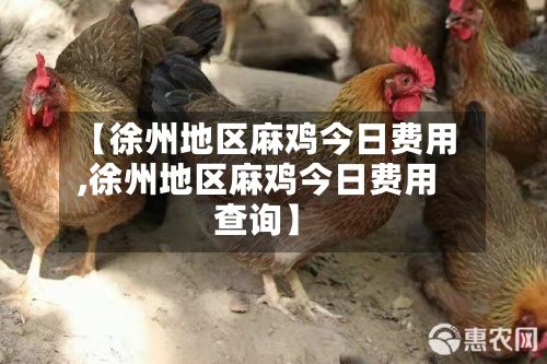 【徐州地区麻鸡今日费用,徐州地区麻鸡今日费用查询】
