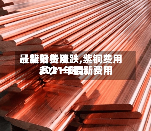 【紫铜费用最新分析涨跌,紫铜费用2021年最新费用多少一吨】