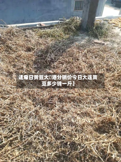 近来【今日黄豆大連港分销价今日大连黄豆多少钱一斤】