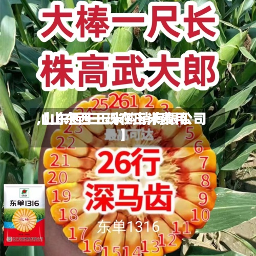 【山东西王现在玉米费用,山东西王玉米购销有限公司】-第3张图片