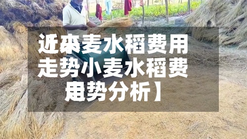 近来【小麦水稻费用走势小麦水稻费用走势分析】-第2张图片