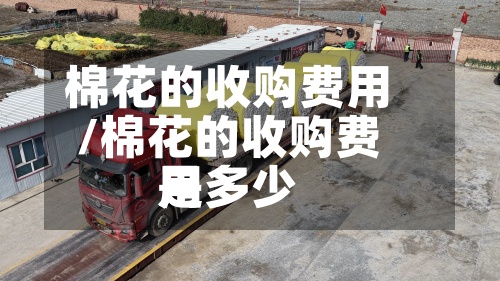 棉花的收购费用/棉花的收购费用是多少-第2张图片
