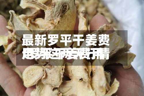 最新罗平干姜费用/罗平干姜费用走势这两天行情