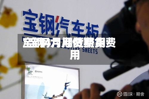 宝钢4月期货费用/宝钢六月份期货费用