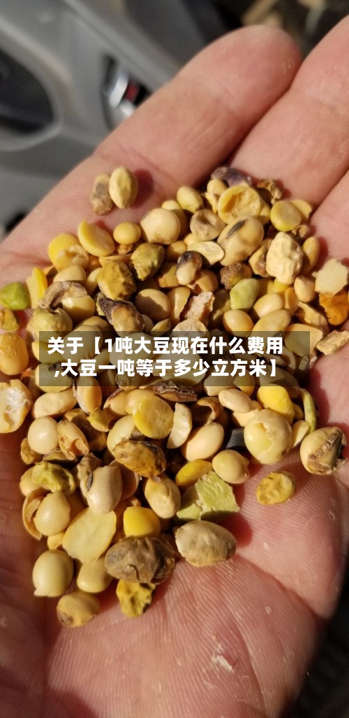 关于【1吨大豆现在什么费用
,大豆一吨等于多少立方米】-第3张图片