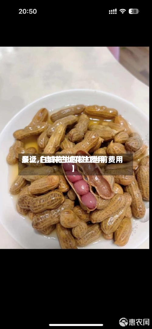 最近【吉林白城花生费用多少,白城花生四粒红当前费用】-第3张图片