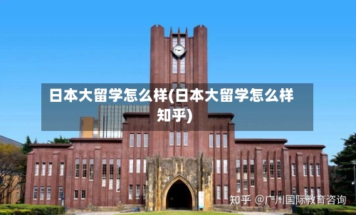 日本大留学怎么样(日本大留学怎么样知乎)-第3张图片