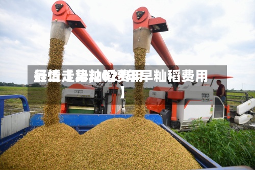 最近【早籼稻费用行情走势,2021年早籼稻费用】